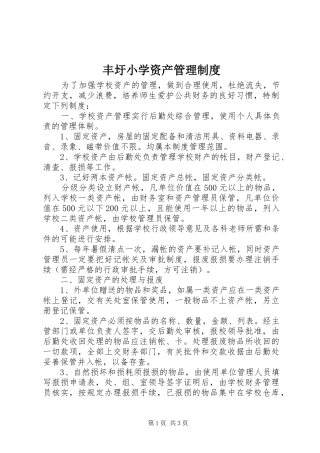丰圩小学资产管理规章制度