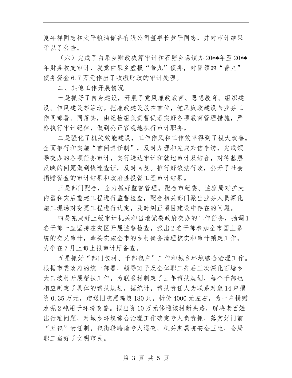 审计局关于度上半年总结的报告_第3页
