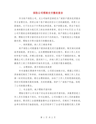 保险公司理赔支付整改报告