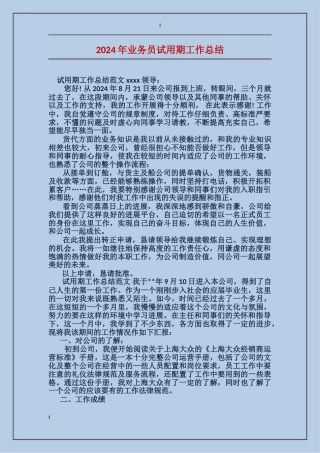 2017年业务员试用期工作总结