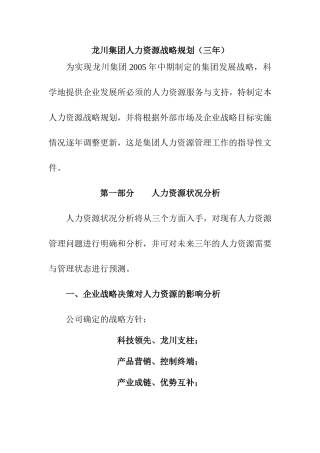 某某集团人力资源战略规划