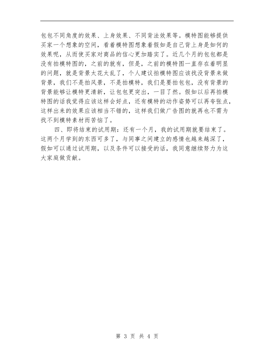 商场美工年度个人工作总结2024_第3页