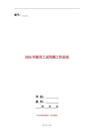 2024年新员工试用期工作总结