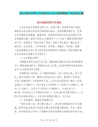 2024综治年终工作总结与2024综治维稳工作总结汇编