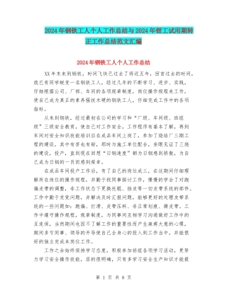 2024年钢铁工人个人工作总结与2024年钳工试用期转正工作总结范文汇编