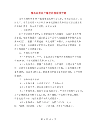 市委农户橡胶种植项目方案