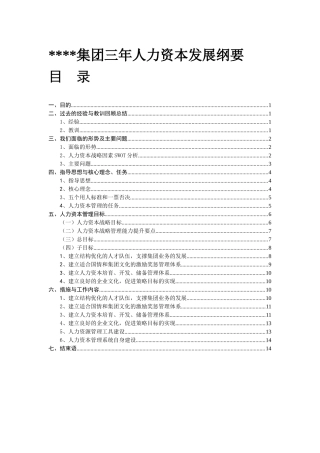 某集团人力资源发展纲要