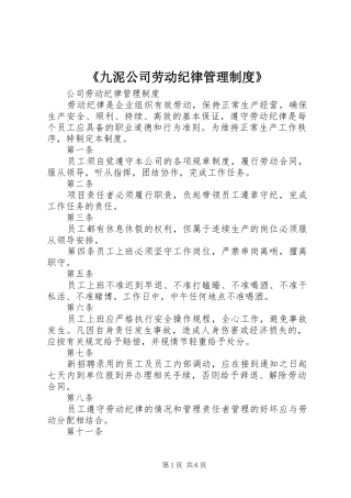 《九泥公司劳动纪律管理规章制度》 (2)