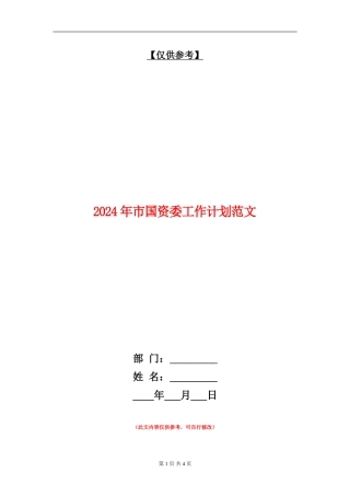 2024年市国资委工作计划范文