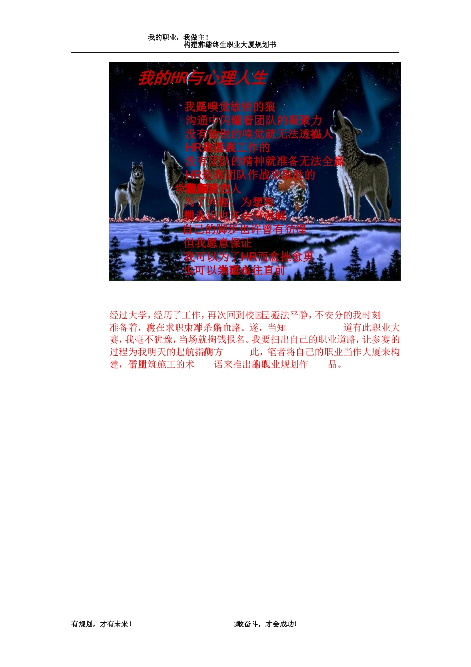 职业生涯规划案例_第3页