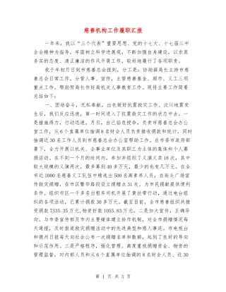 慈善机构工作履职汇报