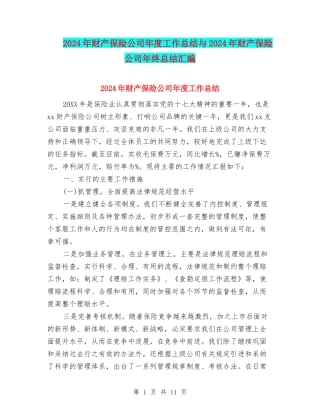 2024年财产保险公司年度工作总结与2024年财产保险公司年终总结汇编