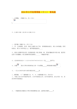 2024年小升初周周练(十二)-青岛版