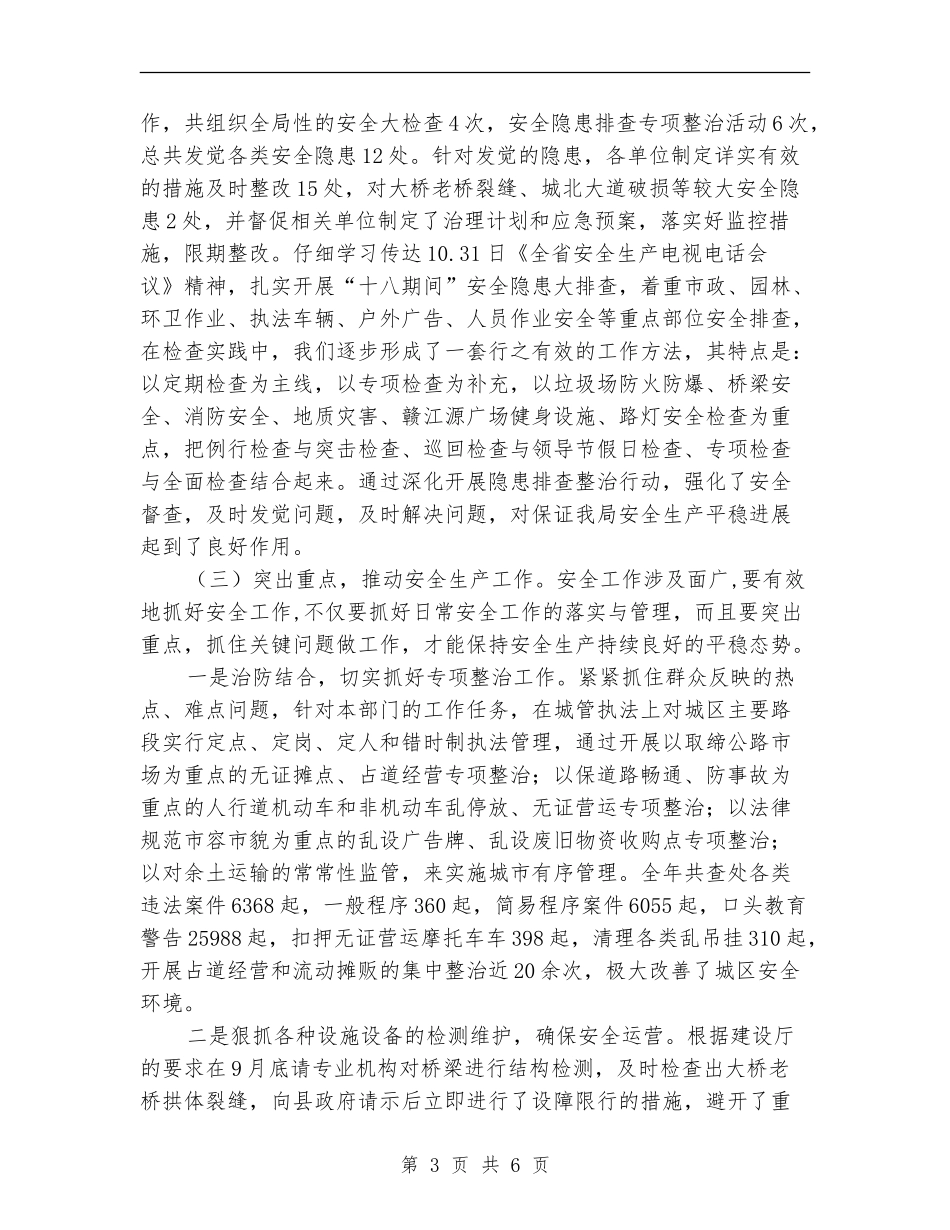 城管局安全生产工作总结_第3页