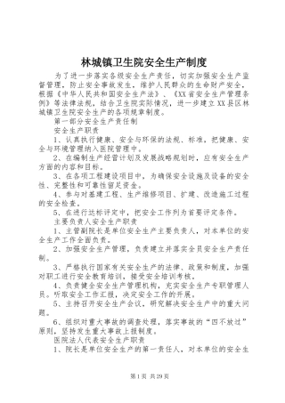 林城镇卫生院安全生产规章制度
