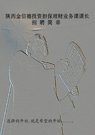 陕西金信德投资担保理财业务课课长招聘章程