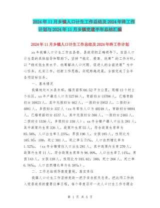 2024年11月乡镇人口计生工作总结及2024年终工作计划与2024年11月乡镇党建半年总结汇编