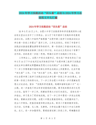 2024年学习实践活动“回头看”总结与2024年学习总结范文开头汇编