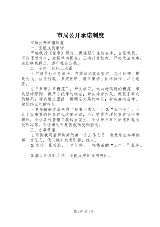 市局公开承诺规章制度