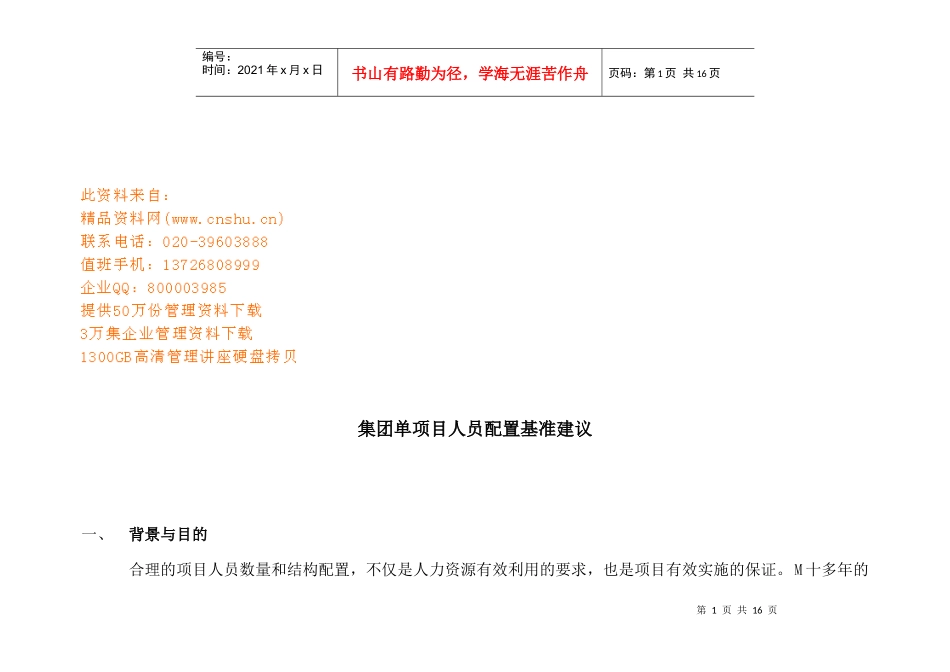 集团单项目人员配置建议书_第1页