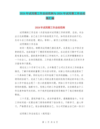 2024年试用期工作总结范例与2024年试用期工作总结集汇编