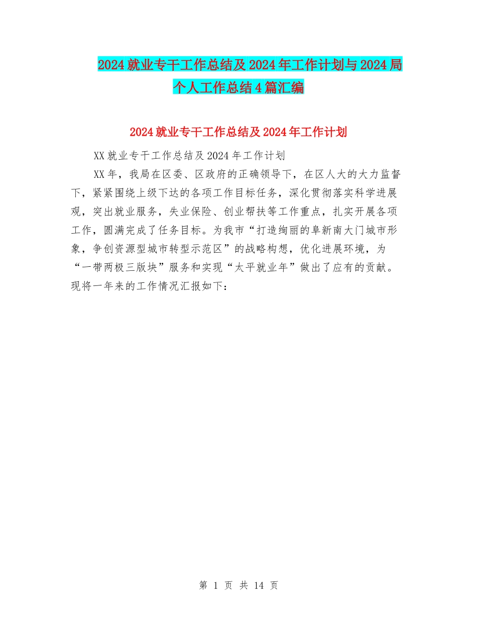 2024就业专干工作总结及2024年工作计划与2024局个人工作总结4篇汇编_第1页