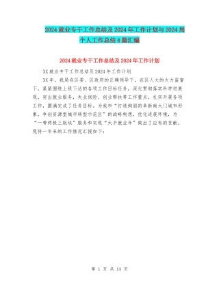 2024就业专干工作总结及2024年工作计划与2024局个人工作总结4篇汇编