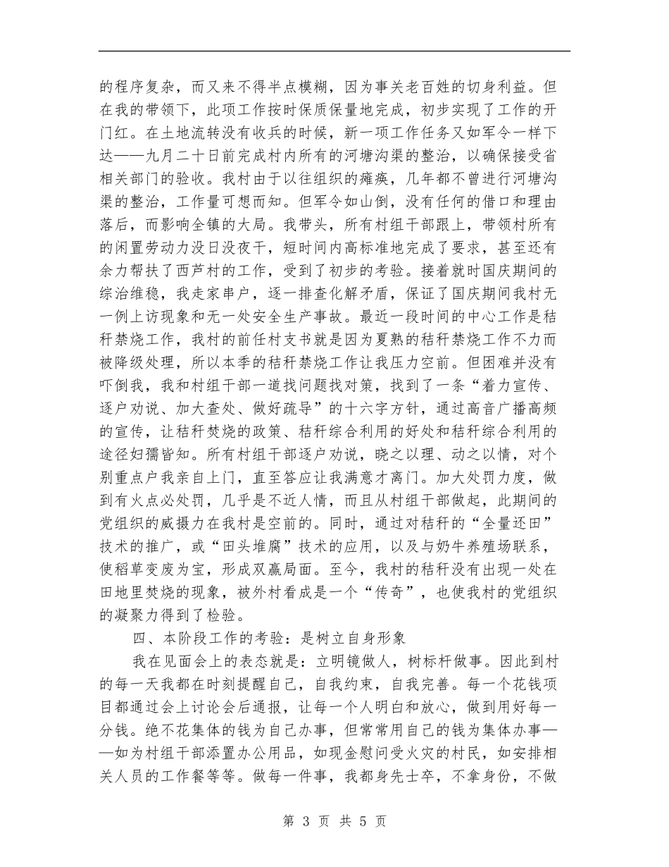 到村任职的阶段性工作总结_第3页