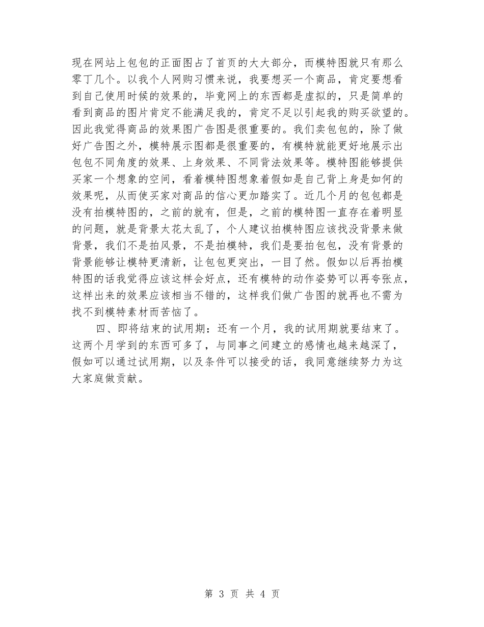 2024年平面设计师年终考核个人工作总结范文_第3页