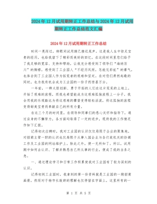 2024年12月试用期转正工作总结与2024年12月试用期转正工作总结范文汇编