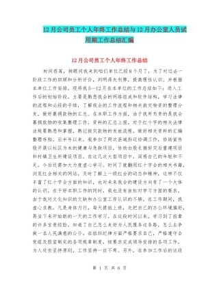 12月公司员工个人年终工作总结与12月办公室人员试用期工作总结汇编