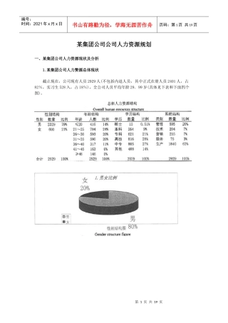 某客车集团公司公司人力资源规划