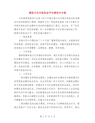 文化行政执法平台建设年方案