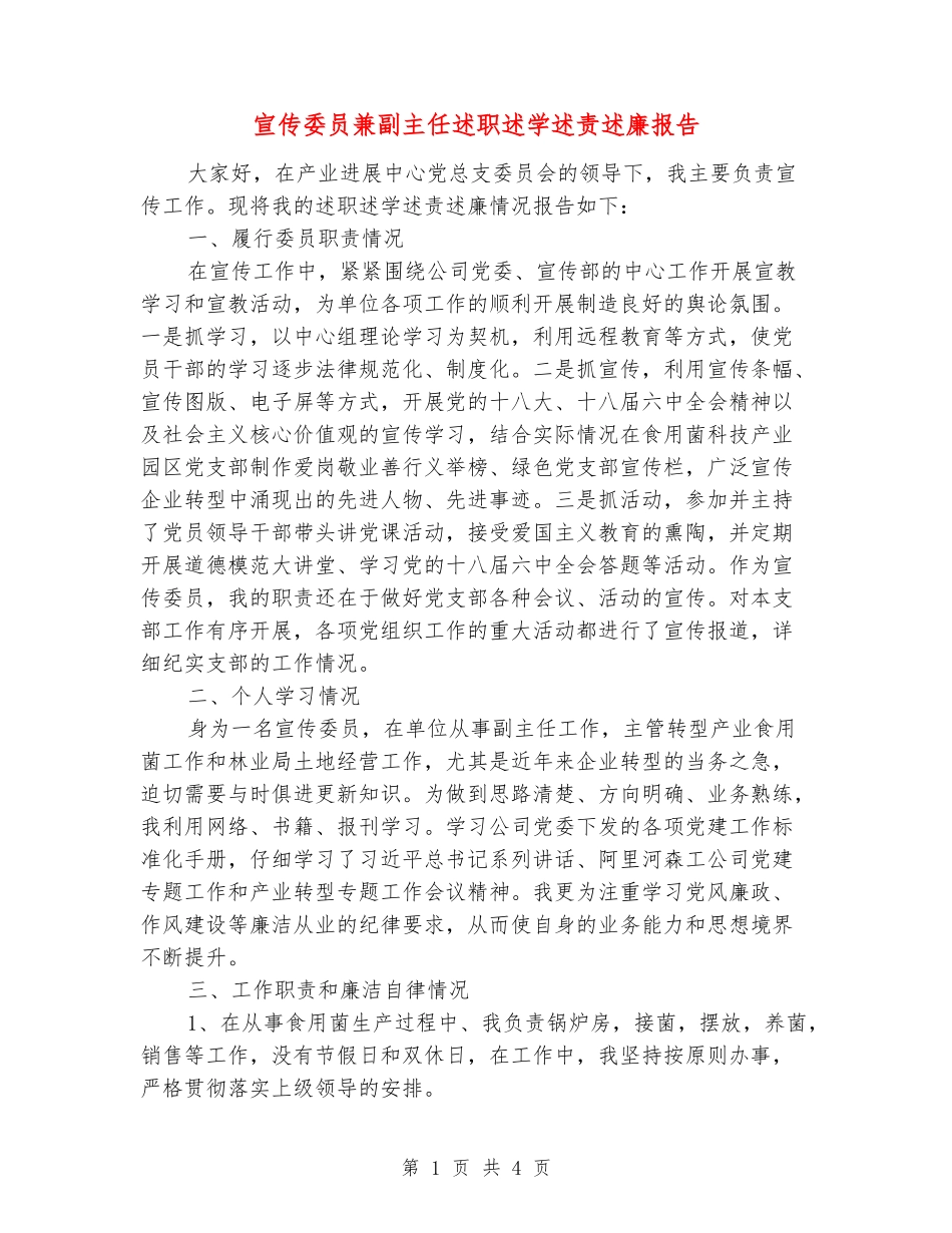 宣传委员兼副主任述职述学述责述廉报告_第1页