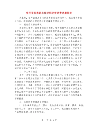 宣传委员兼副主任述职述学述责述廉报告