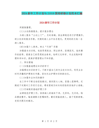 2024新年工作计划与21016国培研修计划范本汇编