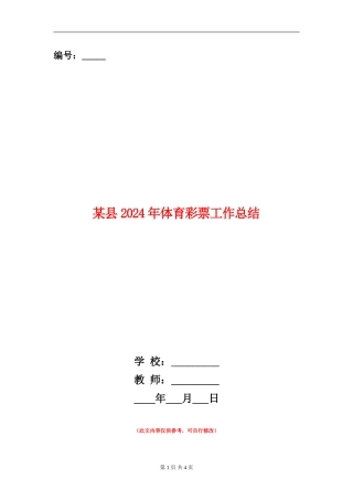 某县2024年体育彩票工作总结