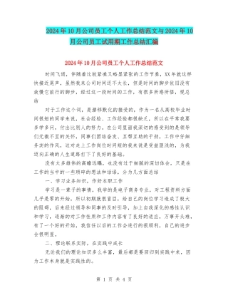 2024年10月公司员工个人工作总结范文与2024年10月公司员工试用期工作总结汇编