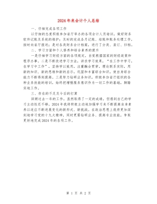 2024年来会计个人总结