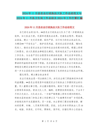 2024年11月县农业行政执法大队工作总结范文与2024年11月县卫生局工作总结及2024年工作打算汇编