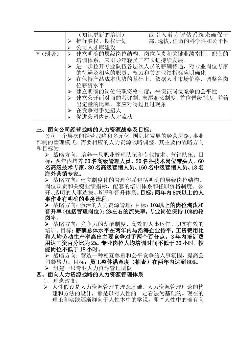 某某公司人力资源战略分析_第2页