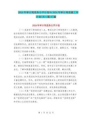 2024年审计局党务公开计划与2024年审计局党建工作计划(共4篇)汇编