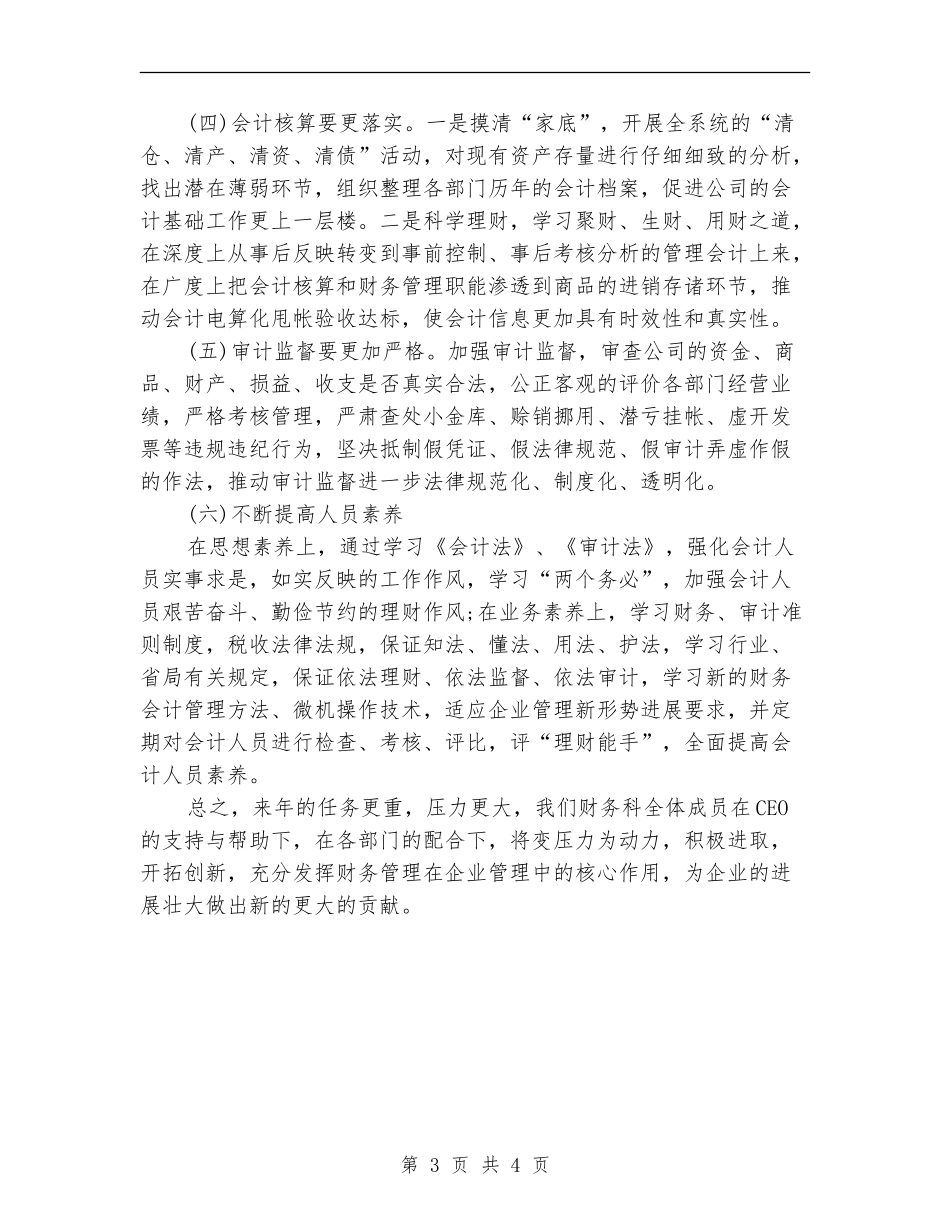 2024年3月公司财务工作计划范文_第3页