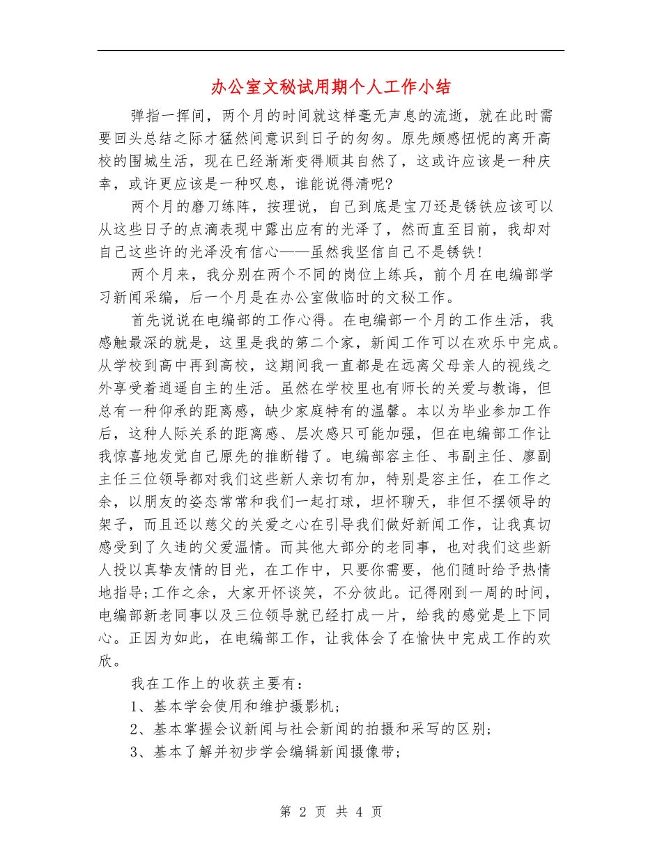 办公室文秘试用期个人工作小结_第2页