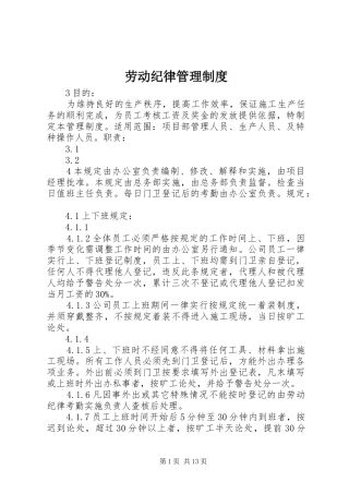 劳动纪律管理规章制度 (2)