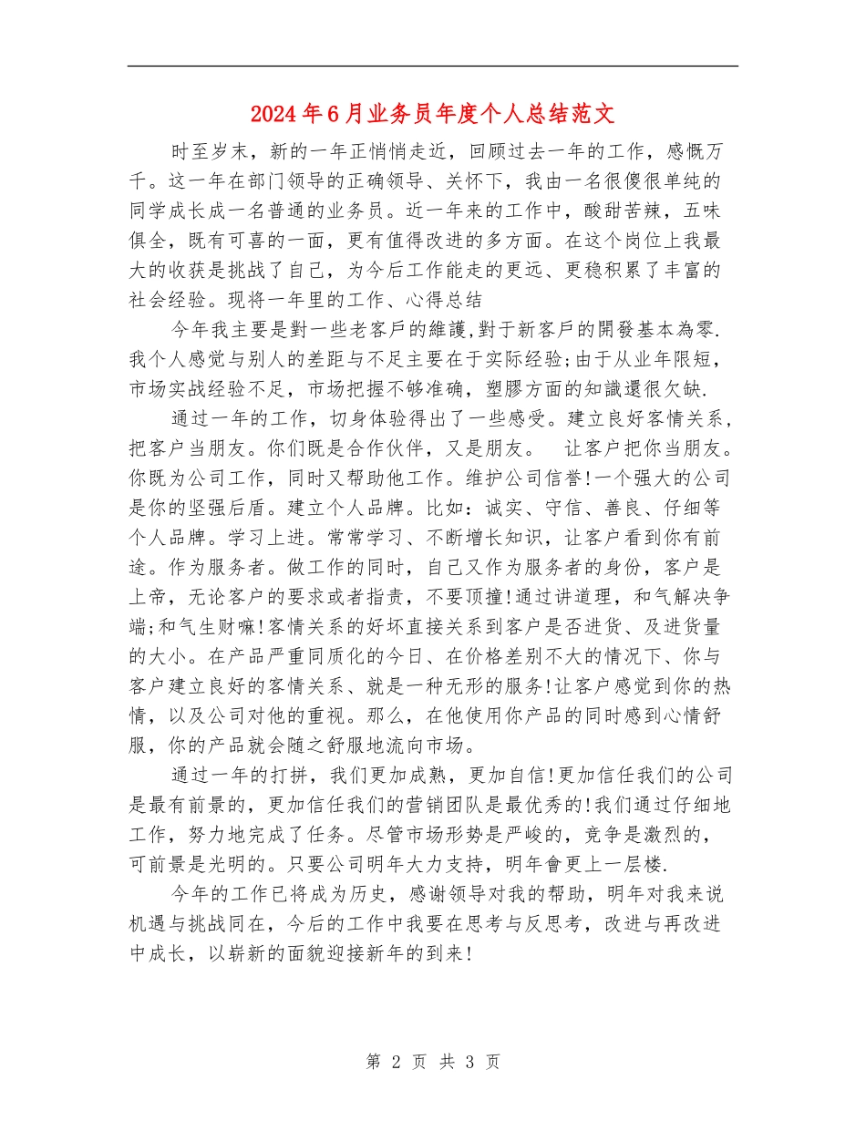2024年6月业务员年度个人总结范文_第2页