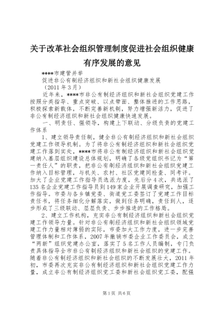 关于改革社会组织管理规章制度促进社会组织健康有序发展的意见 (2)