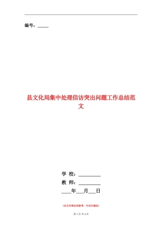 县文化局集中处理信访突出问题工作总结范文