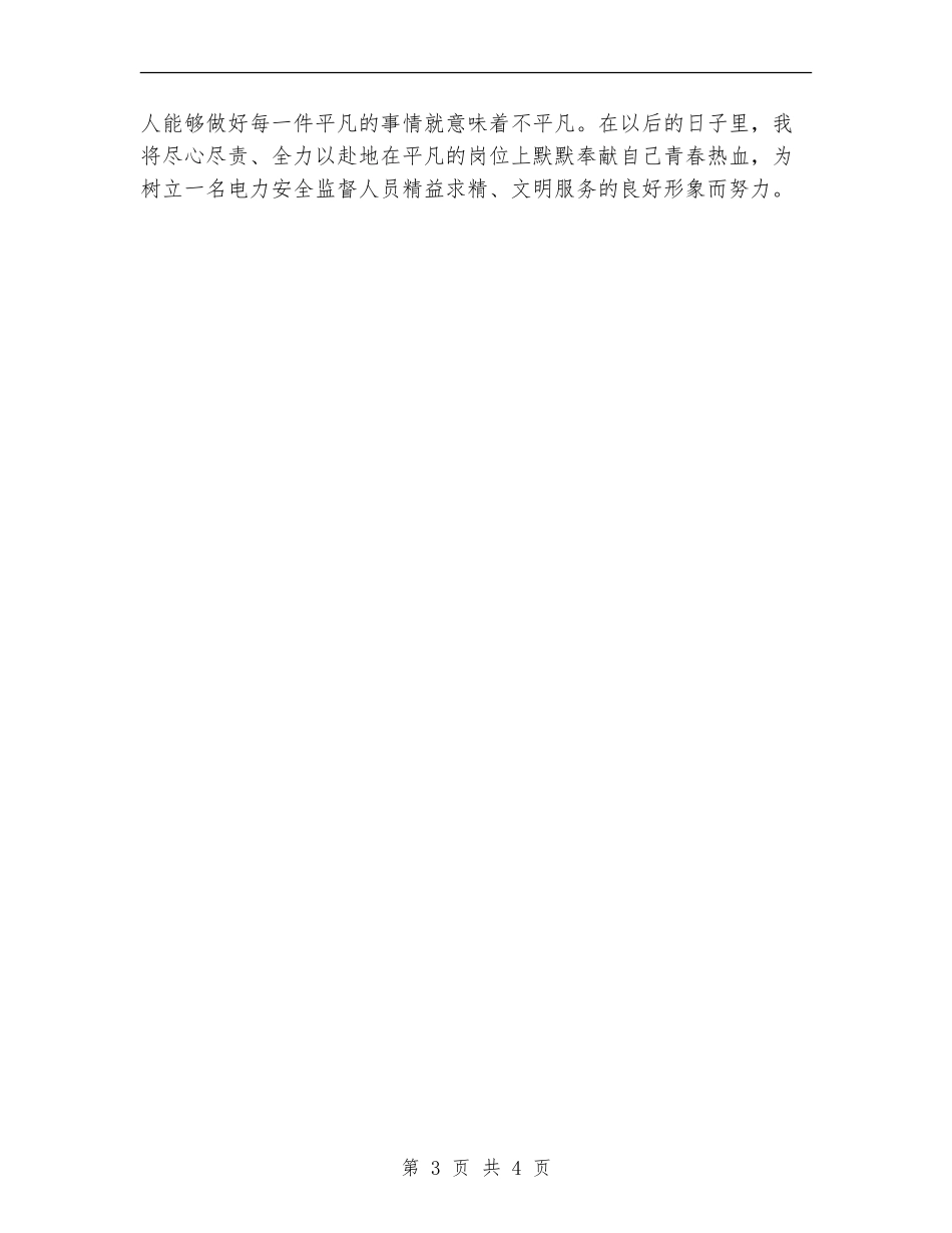 电力安全监督技术个人工作总结_第3页