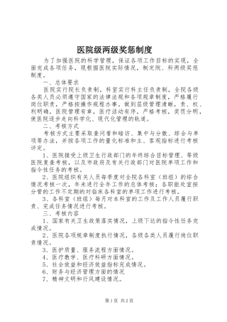 医院级两级奖惩规章制度